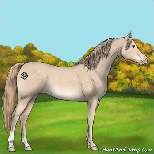 Horse Color:Perlino