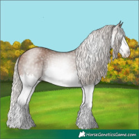 Horse Color:Gray Silver Brown Pearl Splash