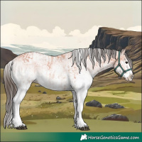 Horse Color:White Spotted Bay Splash  and White Spotted Bay Splash 