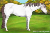 Horse Color:Chocolate Brown Chinchilla Tobiano Snowflake Varnish 
