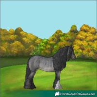 Horse Color:Blue Roan Rabicano 