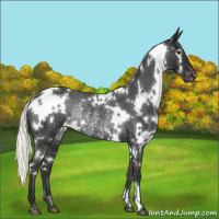 Horse Color:White Spotted Liver Chestnut Mushroom Varnish Rabicano