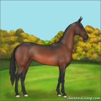 Horse Color:Brown Mushroom 
