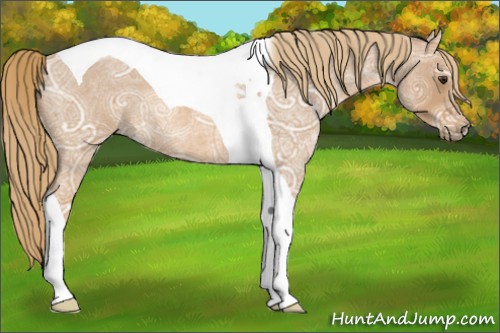 Horse Color:Red Ice Roan Tobiano