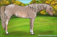 Horse Color:Red Ice Roan Tobiano