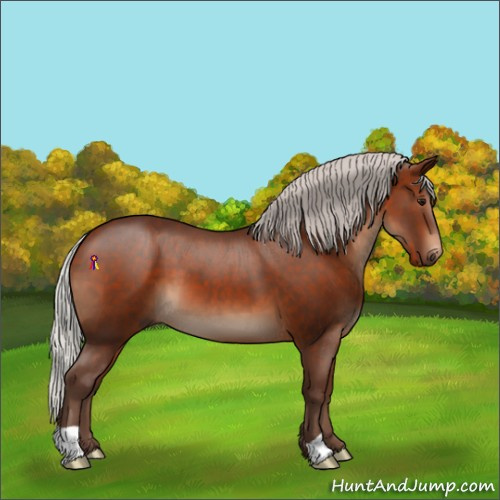 Horse Color:Silver Bay