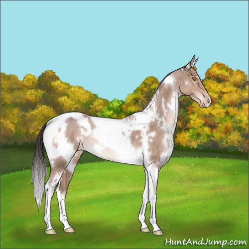 Horse Color:White Spotted Sable Champagne Tobiano Varnish