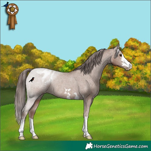 Horse Color:Classic Champagne Varnish Rabicano