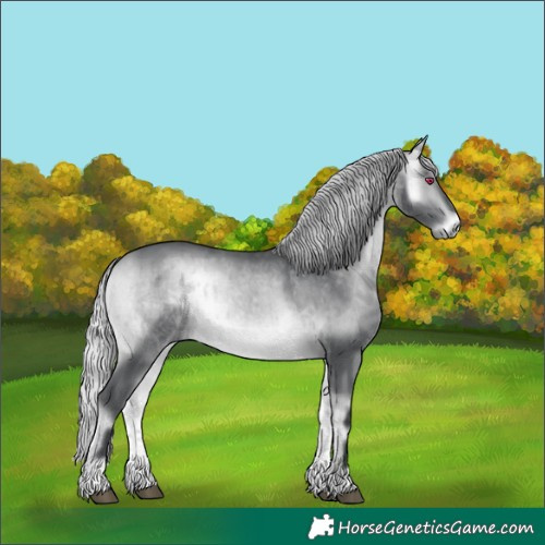 Horse Color:Silver Bay Chinchilla Onyx Brindle