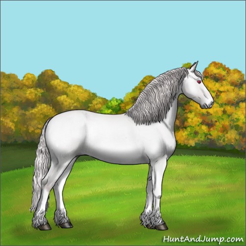 Horse Color:Chocolate Silver Bay Chinchilla Onyx