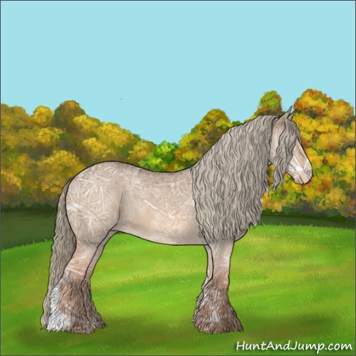 Horse Color:Red Dun Ice Appaloosa 