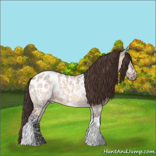 Horse Color:Brown Ice Dun Appaloosa 