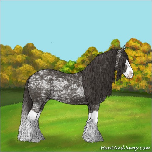 Horse Color:Smoky Black Ice Splash 