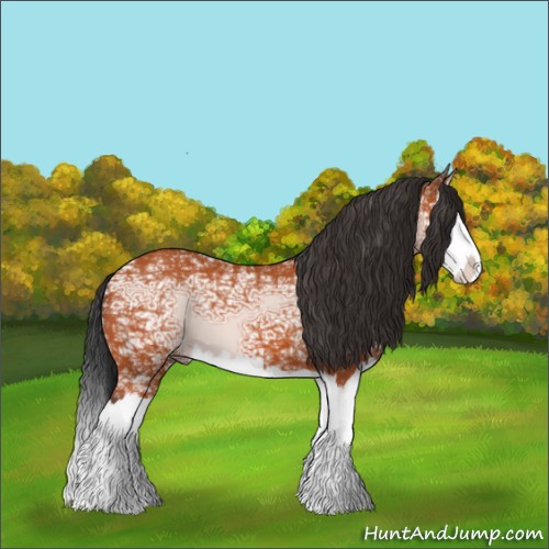 Horse Color:Bay Ice Splash 