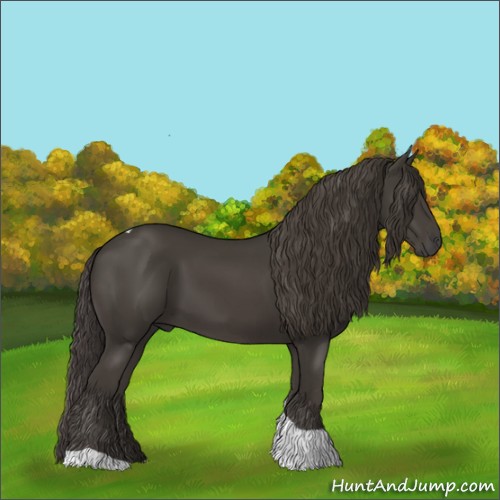 Horse Color:Smoky Black Tobiano 