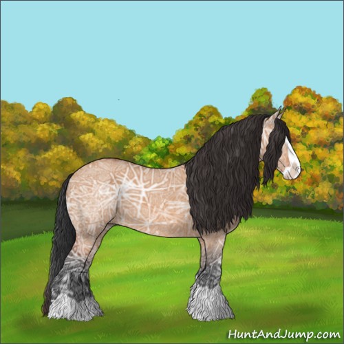 Horse Color:Bay Ice Dun Splash 