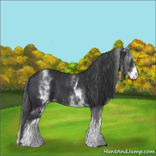 Horse Color:White Spotted Black 