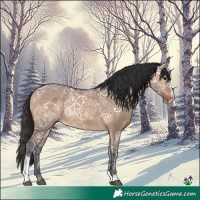 Horse Color:Brown Ice Dun Sabino