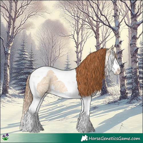 Horse Color:Red Dun Ice Splash Tobiano 