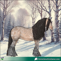 Horse Color:Brown Ice Dun
