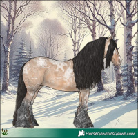 Horse Color:Bay Ice Dun 