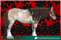 Horse Color:Buckskin Ice Dun Rabicano 