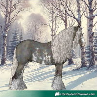 Horse Color:Midnight Silver Buckskin Ice Dun Sabino