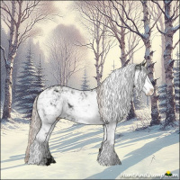 Horse Color:Midnight Silver Black Ice Sabino 