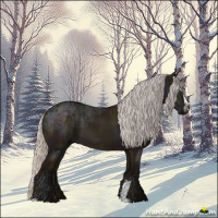 Horse Color:Midnight Silver Grullo Ice Sabino 