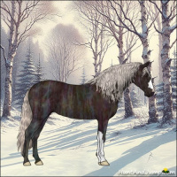 Horse Color:Midnight Silver Bay Ice