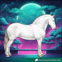 Horse Color:Chestnut Sabino Appaloosa Rabicano 