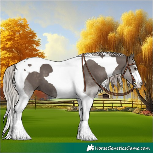 Horse Color:Silver Black Tobiano 