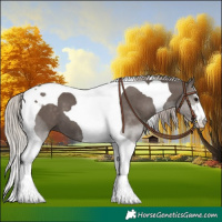 Horse Color:Silver Black Tobiano 