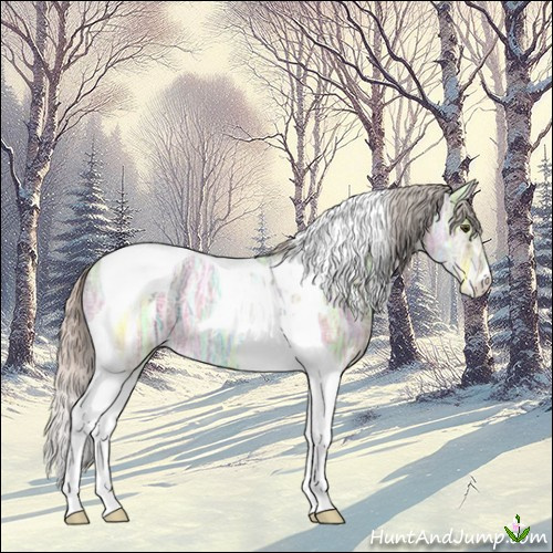 Horse Color:Silver Brown Ice Dun Tobiano 