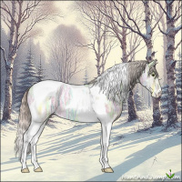 Horse Color:Silver Brown Ice Dun Tobiano 