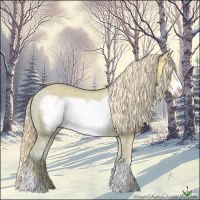 Horse Color:Palomino Ice Dun Frame