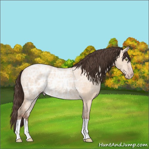 Horse Color:Amber Champagne Ice Dun 