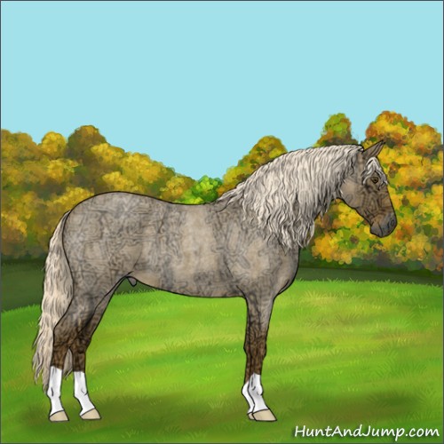 Horse Color:Palomino Ice Roan Dun 