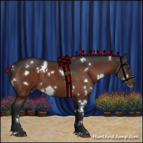 Horse Color:White Spotted Brown 
