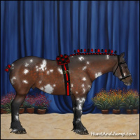 Horse Color:White Spotted Brown 