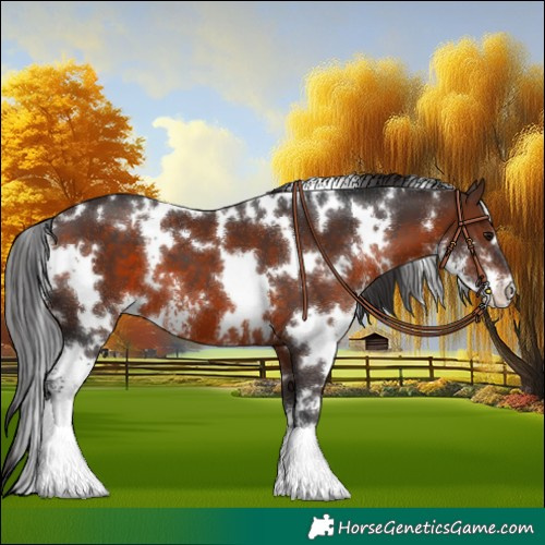 Horse Color:White Spotted Brown Sabino 