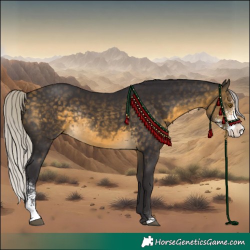 Horse Color:Silver Buckskin Sabino Rabicano 