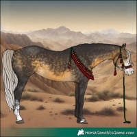 Horse Color:Silver Buckskin Sabino Rabicano