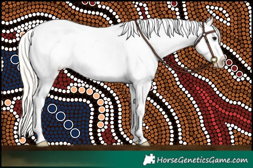 Horse Color:White Spotted Silver Smoky Grullo Blanket 