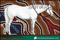 Horse Color:White Spotted Silver Smoky Grullo Appaloosa 