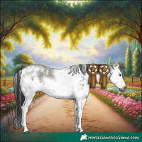 Horse Color:Gray White Spotted Grullo Sabino