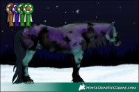 Horse Color:ERROR: UNKNOWN ANOMALY