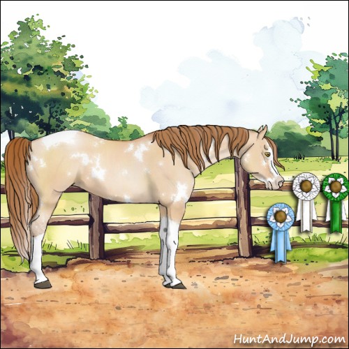 Horse Color:White Spotted Brown Pearl Dun Splash Tobiano