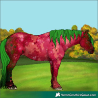 Horse Color:ERROR: UNKNOWN ANOMALY