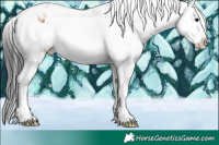 Horse Color:White Spotted Brown Ice Onyx Appaloosa 